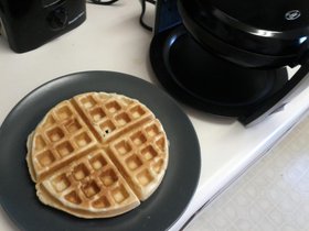 Yay waffle Shame I don t have fruit and powdered s.jpg